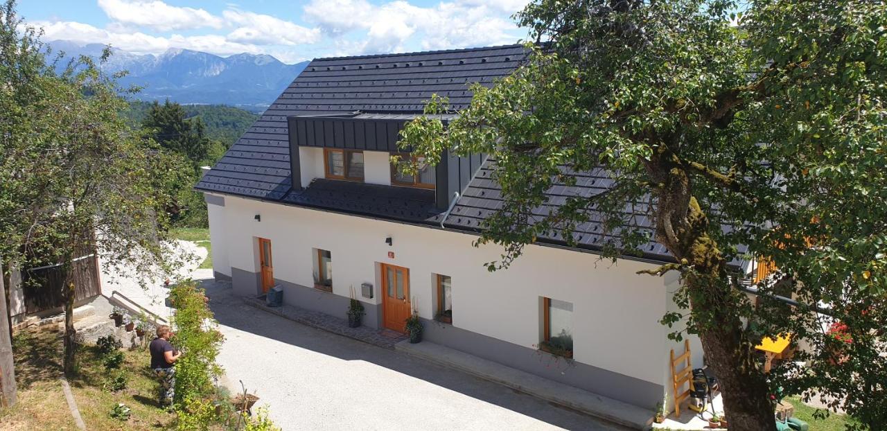 Apartment Apartma Pri Bostjanu